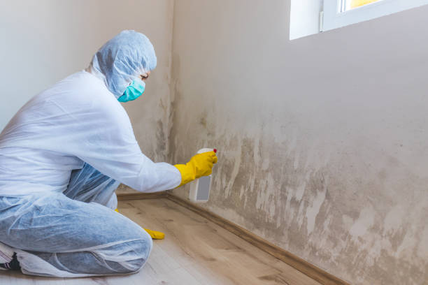 Mold Remediation specialist working in New Buffalo
